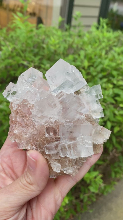 Clear Halite, High Grade, Phantom, Morocco