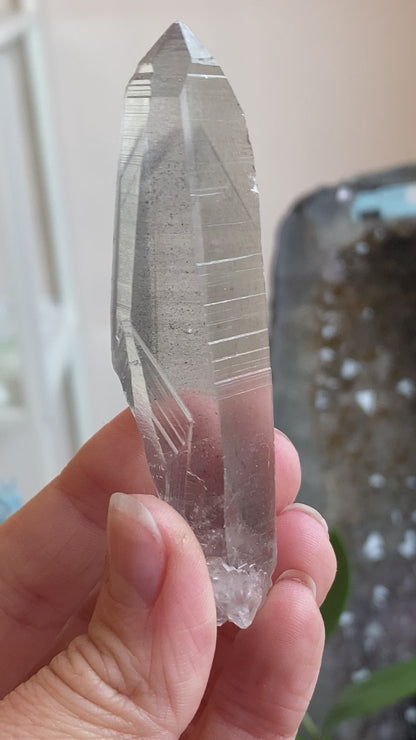 Graphite Phantom Lemurian