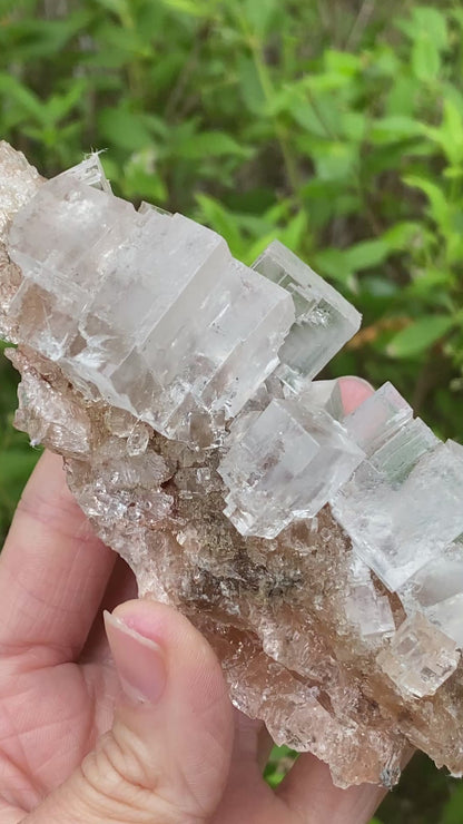 Clear Halite, High Grade, Phantom, Morocco