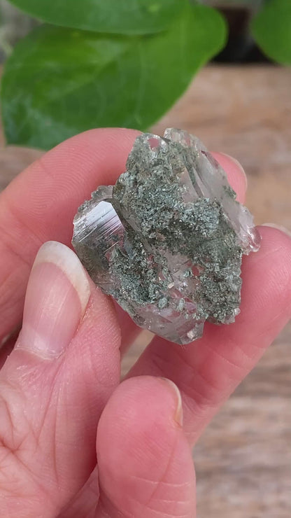 HIgh Altitude Quartz with Chlorite and Rutile, K2 Mountains
