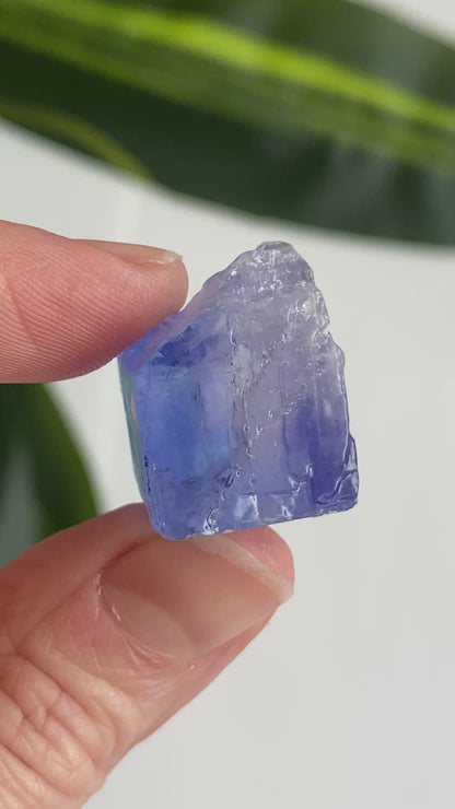 Blue Halite