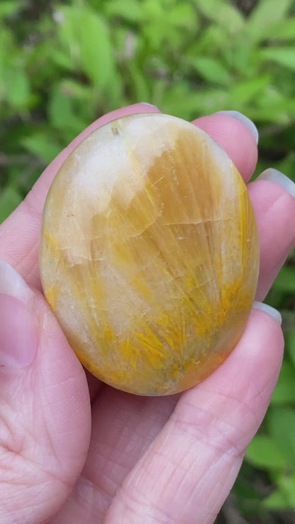 Bumblebee Jasper Palm Stone
