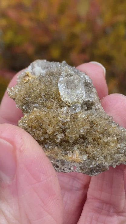 Herkimer Diamond in Matrix