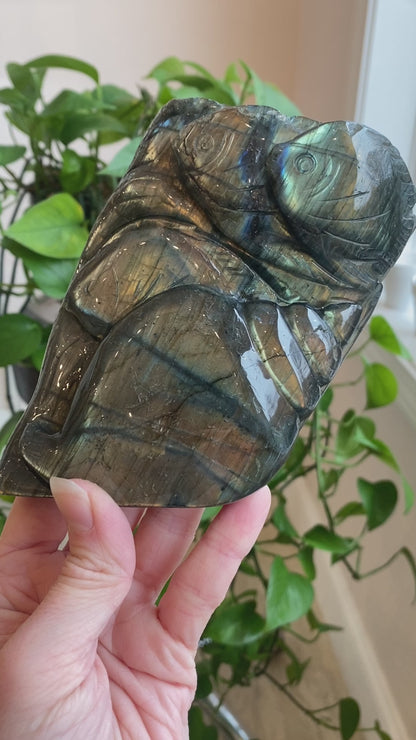 Labradorite Sealife Carving