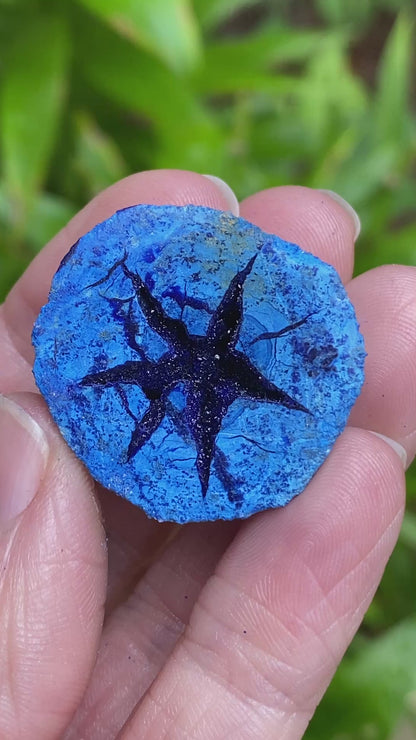 Azurite Geode, Star