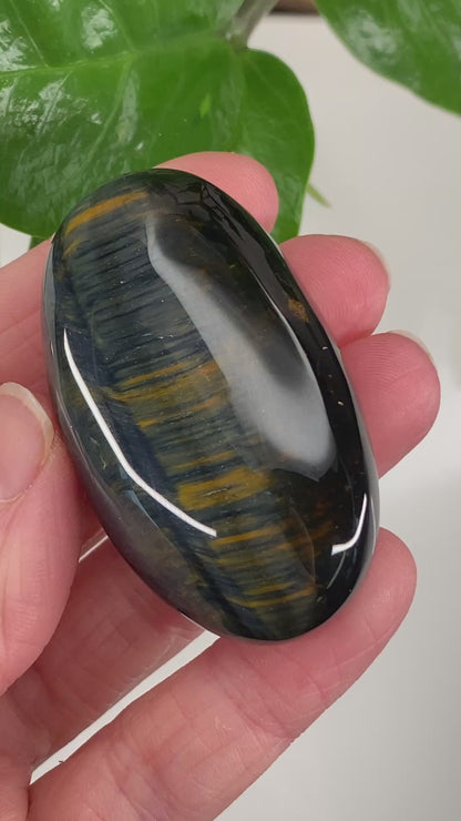 Hawk's Eye Palm Stone, Blue Tiger's Eye