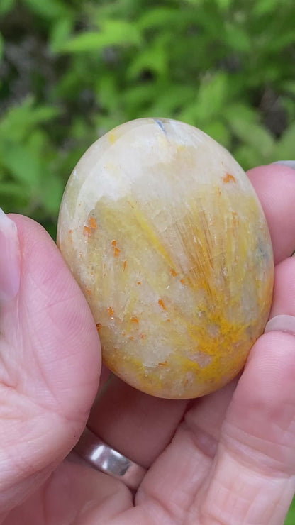 Bumblebee Jasper Palm Stone