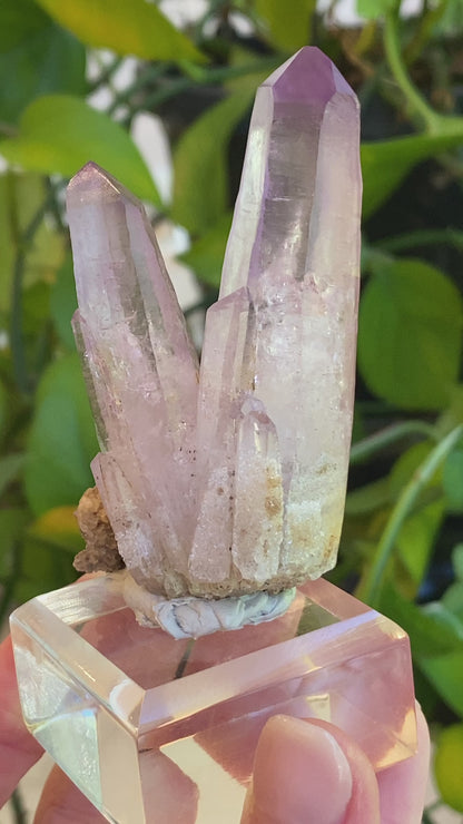 Vera Cruz Amethyst Specimen