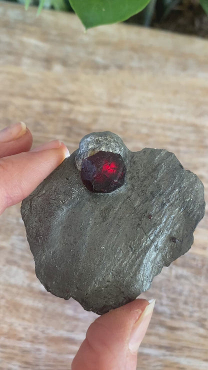 Garnet in Graphite, Red Embers Mine Massachusetts