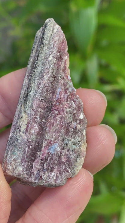 Rough Pink Tourmaline with Mica, Paribas