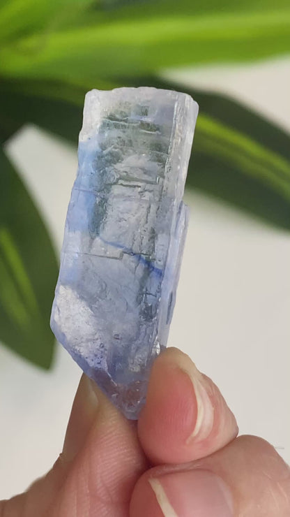 Blue Halite