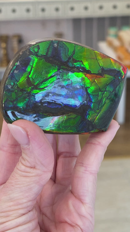 Ammolite Freeform