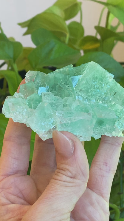 Green Halite Specimen, Halite with Atacamite, Poland