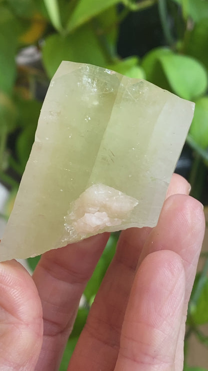 Green Apophyllite