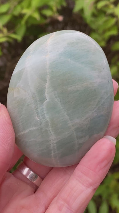 Garnierite Palm Stone