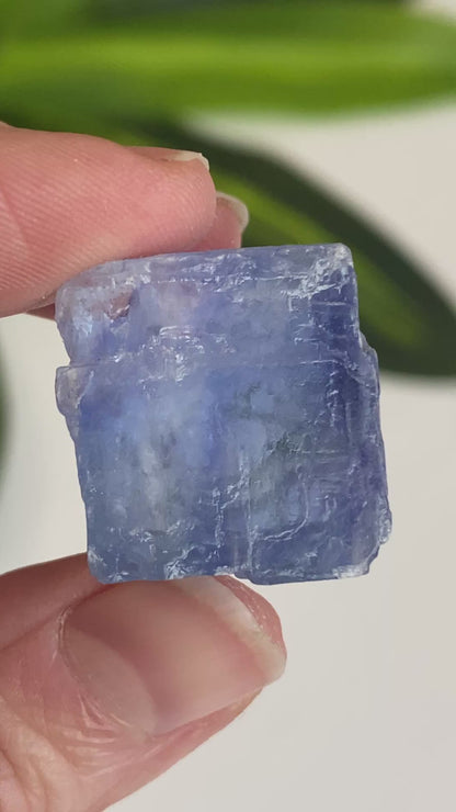 Blue Halite