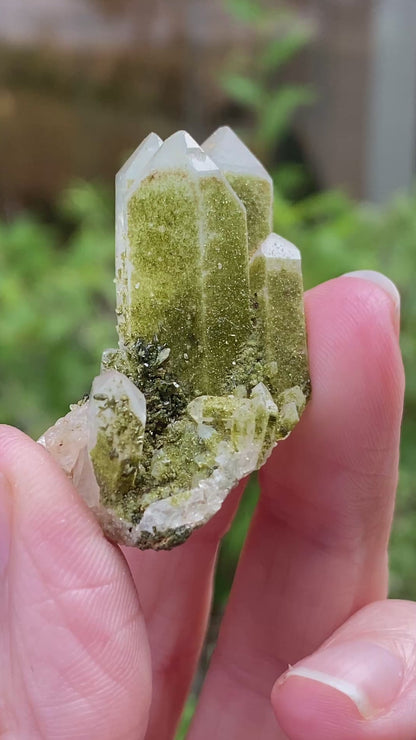 Lime Epidote on Quartz, Turkey