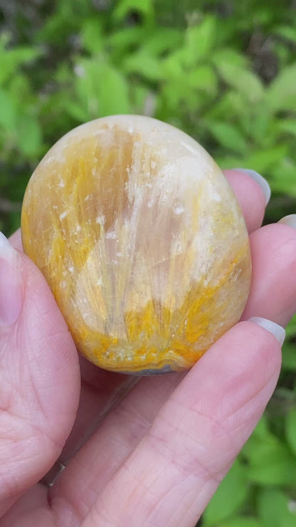 Bumblebee Jasper Palm Stone