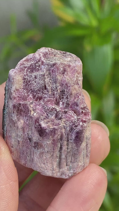 Rough Pink Tourmaline with Mica, Paribas