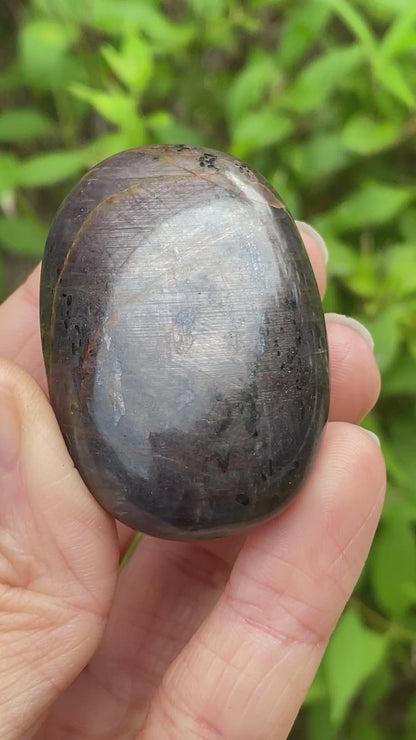 Sapphire Palm Stone
