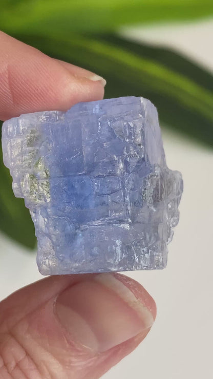 Blue Halite