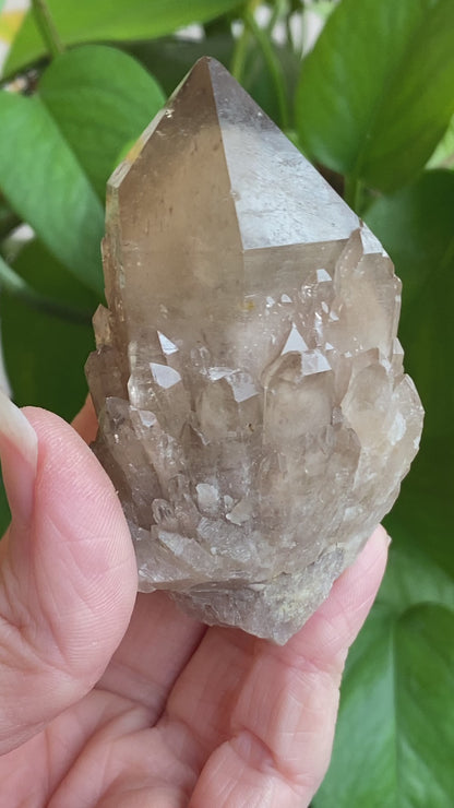 Kundalini Smoky Quartz Crystal