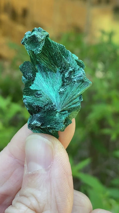 Malachite