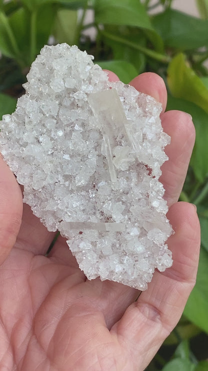 Barite on Apophyllite Specimen