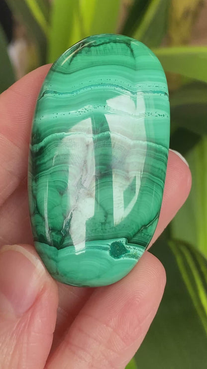 Malachite Palm Stone