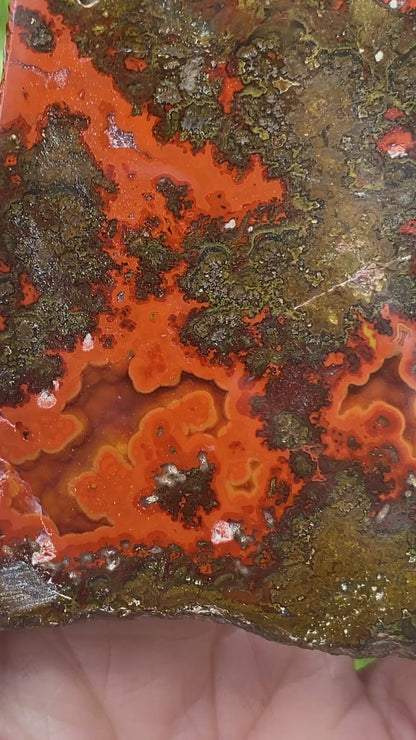 Kerrouchen Agate Slab, Cruentous Agate