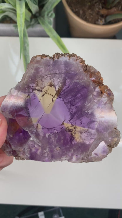 Large Ametrine Slice