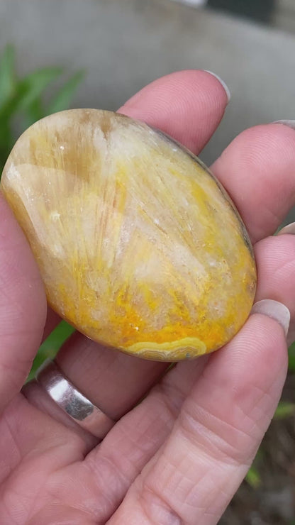 Bumblebee Jasper Palm Stone