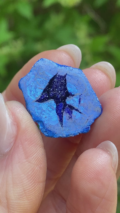 Azurite Blueberry Geode