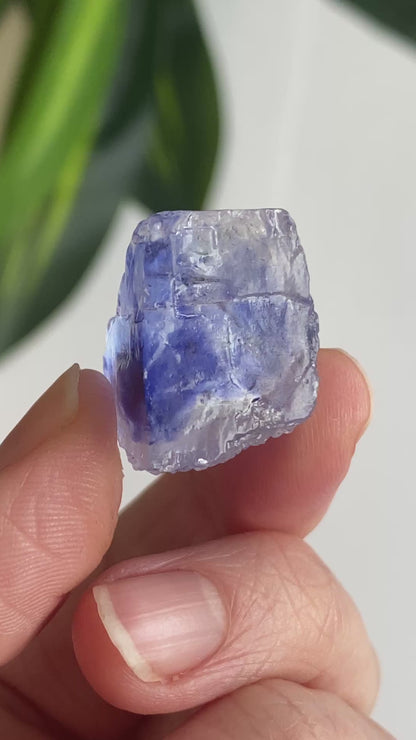 Blue Halite