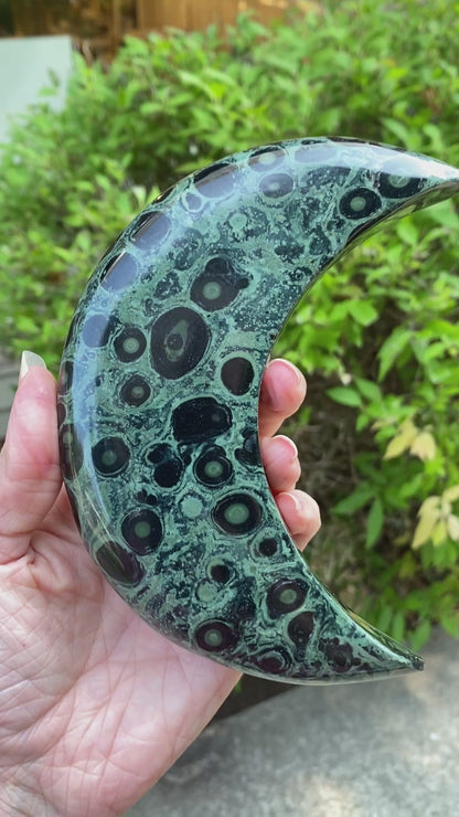Kambaba Jasper Moon