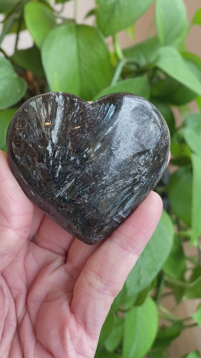 Arfvedsonite Heart with Garnet