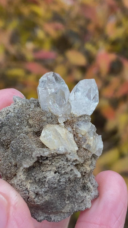 Herkimer Diamond in Matrix
