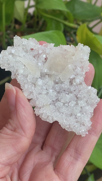 Barite on Apophyllite Specimen