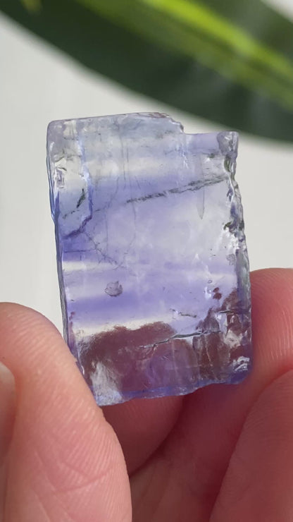 Blue Halite