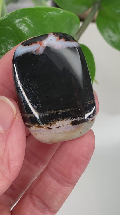 Sardonyx Stone