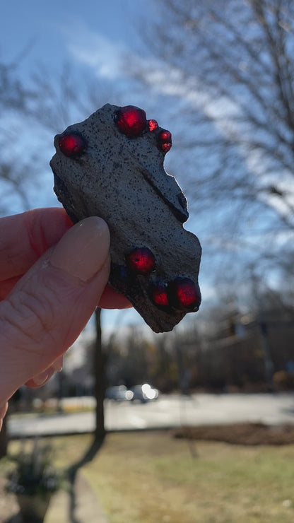 Garnet in Graphite Specimen from Massachusetts, Single Mine Material