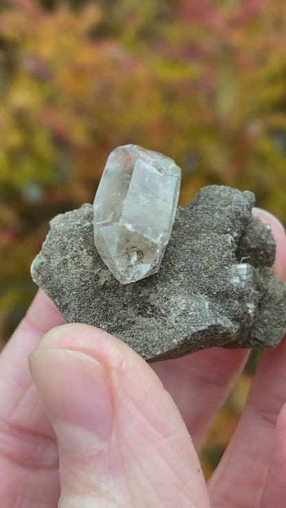 Herkimer Diamond in Matrix