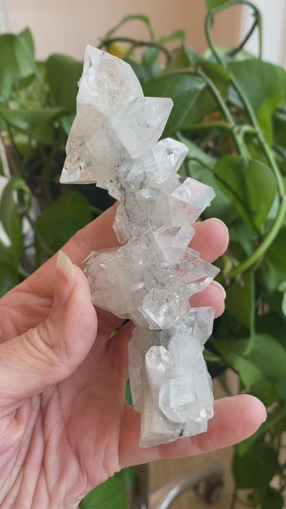 High Quality Apophyllite Stalactite