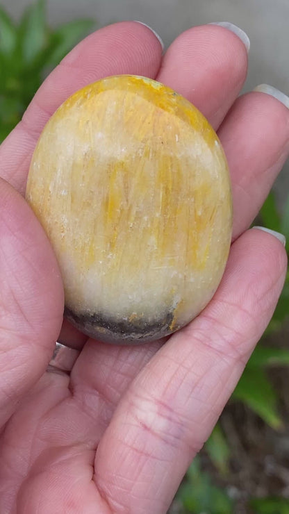 Bumblebee Jasper Palm Stone