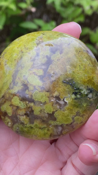 Green Opal Palm Stone