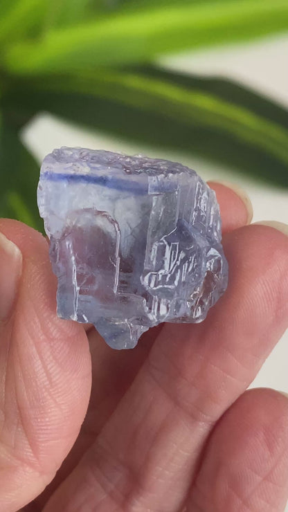 Blue Halite