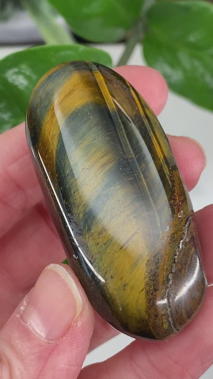 Hawk's Eye Palm Stone, Blue Tiger's Eye