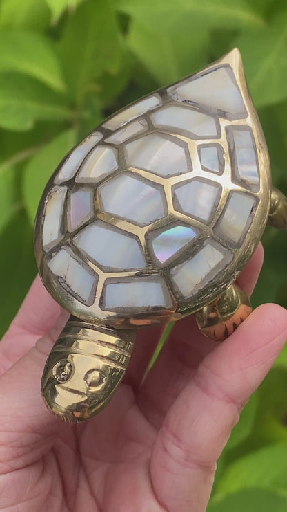 Turtle Box, Mother of Pearl, Fair Trade