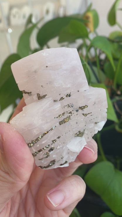 Pink Poker Chip Calcite with Pyrite, New Deposit, Hunan