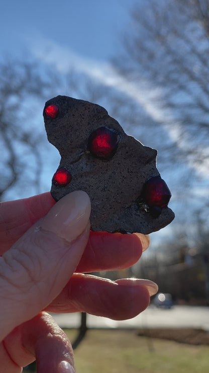 Garnet in Graphite Specimen from Massachusetts, Single Mine Material